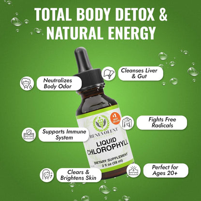 Suplemento de clorofila para nutrición benevolente, desintoxicación y apoyo inmunológico, desodorante interno - Gotas líquidas, sabor a menta natural, suministro para 4 meses, 59 ml