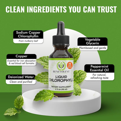 Suplemento de clorofila para nutrición benevolente, desintoxicación y apoyo inmunológico, desodorante interno - Gotas líquidas, sabor a menta natural, suministro para 4 meses, 59 ml