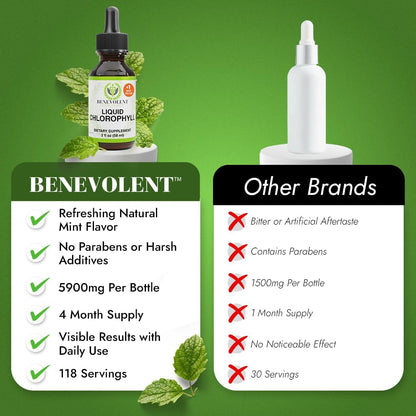 Suplemento de clorofila para nutrición benevolente, desintoxicación y apoyo inmunológico, desodorante interno - Gotas líquidas, sabor a menta natural, suministro para 4 meses, 59 ml