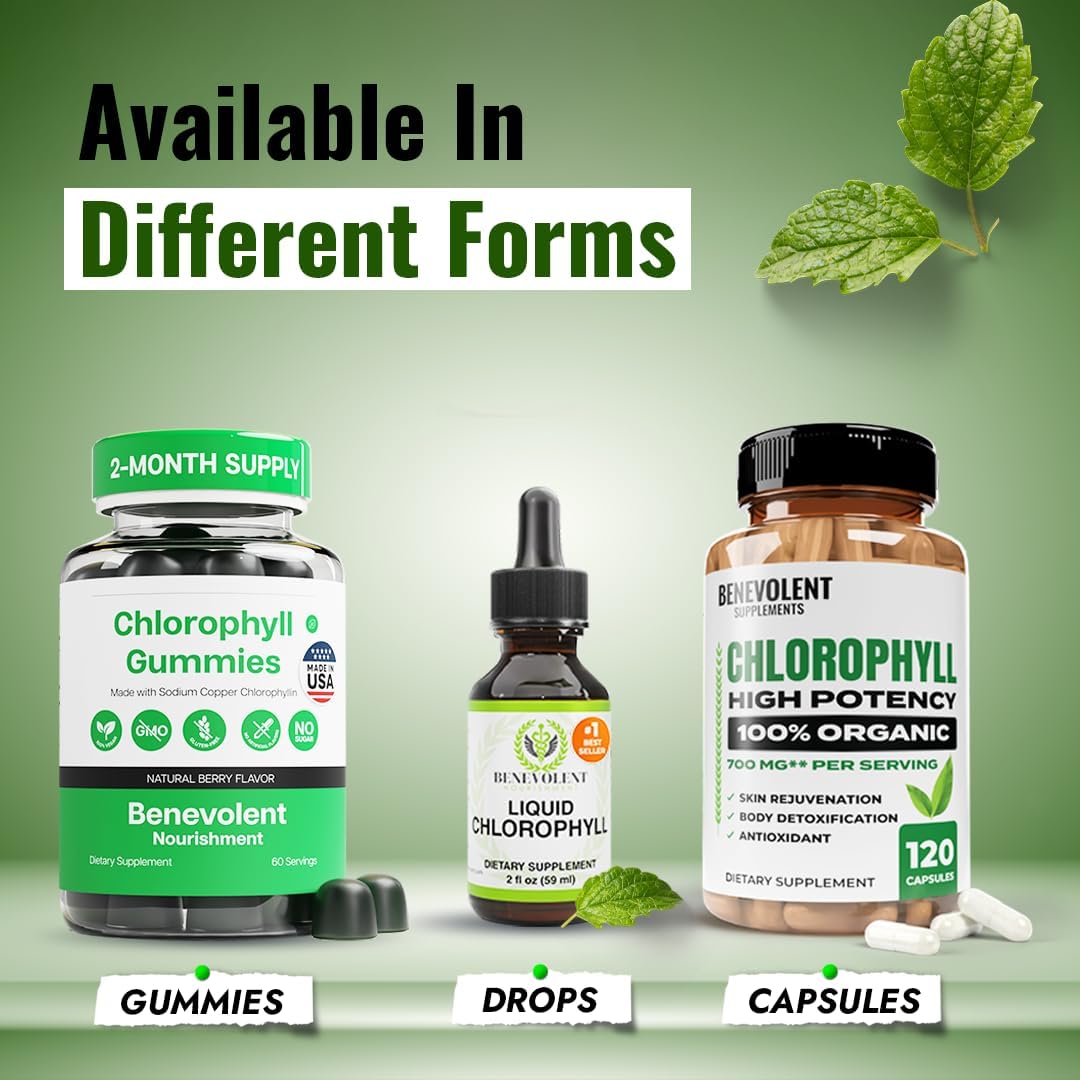 Suplemento de clorofila para nutrición benevolente, desintoxicación y apoyo inmunológico, desodorante interno - Gotas líquidas, sabor a menta natural, suministro para 4 meses, 59 ml