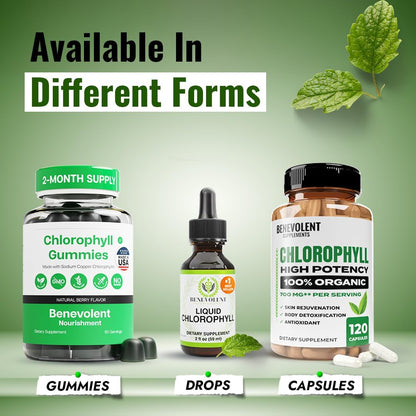 Suplemento de clorofila para nutrición benevolente, desintoxicación y apoyo inmunológico, desodorante interno - Gotas líquidas, sabor a menta natural, suministro para 4 meses, 59 ml